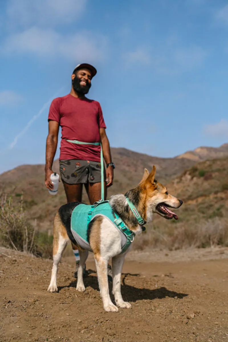 Ruffwear Swamp Cooler Harness - Sage Green-9